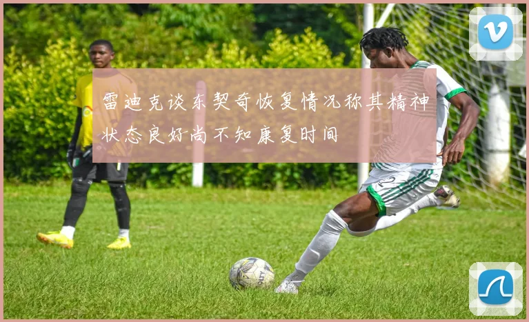 雷迪克谈东契奇恢复情况称其精神状态良好尚不知康复时间