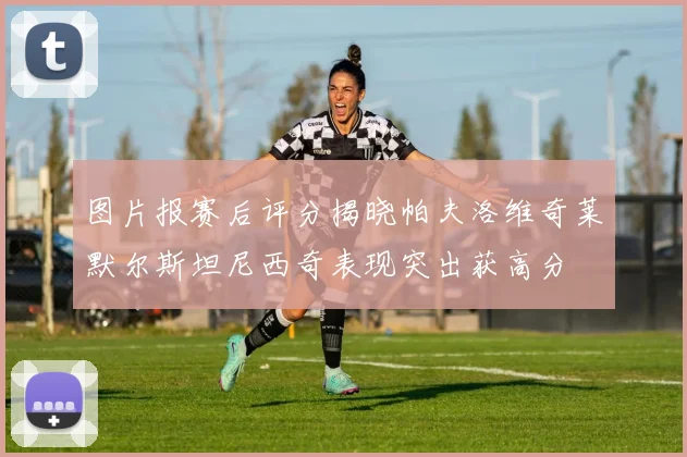 图片报赛后评分揭晓帕夫洛维奇莱默尔斯坦尼西奇表现突出获高分