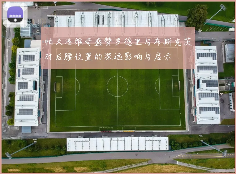 帕夫洛维奇盛赞罗德里与布斯克茨对后腰位置的深远影响与启示